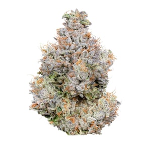 Alien Labs - Area 41 - Indoor