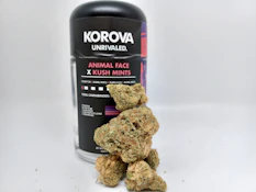 Korova - Animal Face x Kush Mints 3.5g