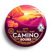 Camino - Orchard Peach Sours CBD Gummies 1:1 100mg