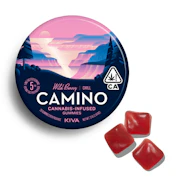 Camino - Wild Berry Gummies 100mg