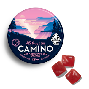Camino Gummies - Camino - Wild Berry Gummies 100mg