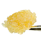 Maven - Black Diamond x Cold Cure Live Rosin 1g
