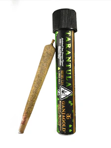 Ganja Gold - Ganja Gold - Green Tarantula Caramel Apple Preroll 1.2g