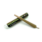 Ganja Gold - Green Tarantula - Flavour Cake 1.2g