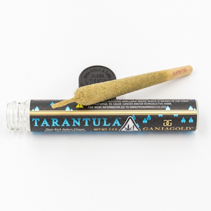 Ganja Gold - Ganja Gold - Blue Tarantula SFV OG 1.2g