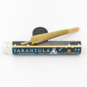 Ganja Gold - Blue Tarantula SFV OG 1.2g