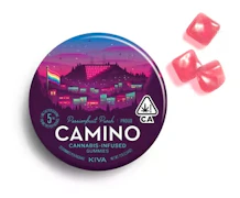 Camino - Pride Passion Fruit Gummies 100mg