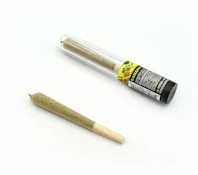 Korova - Banana Cake Preroll 1g