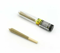 Korova - Banana Cake Preroll 1g