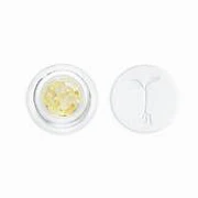 Raw Garden - Hazmat OG Live Resin Sauce 1g