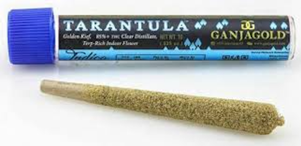 Ganja Gold - Ganja Gold - Blue Tarantula Ice Cream Cake 1.2g