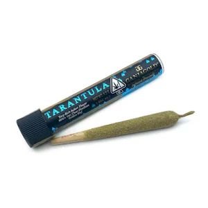 Ganja Gold - Ganja Gold - Blue Tarantula Bananas Preroll 1.2g