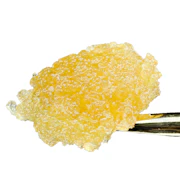 Maven - Brulee x Kashmir Kush Caviar Diamonds 1g