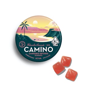 Camino Gummies - Camino - Watermelon Lemonade Gummies 100mg