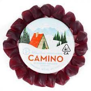 Camino Gummies - Camino - Holiday Punch Gummies