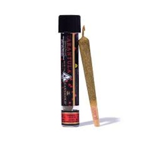 Ganja Gold - Biscotti 1.2g Preroll