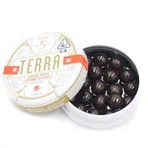 KIVA - Terra - Peppermint Dark Chocolate Bites 100mg