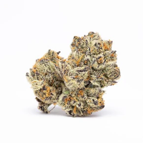 Blue Dream Plant