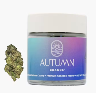 Autumn Brands - Purple Carbonite Premium 3.5g Flower