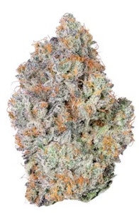 Alien Labs - BK Satellite