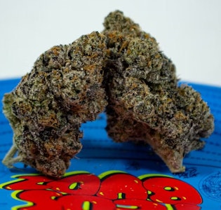 TEDS BUDZ - Blueberry Larry