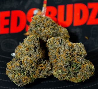 TEDS BUDZ - Black Sherbet