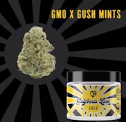 3.5g Gold | GMO X Gush Mints