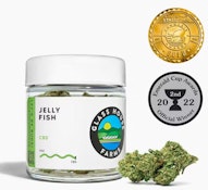 Jelly Fish [3.5g Jar]