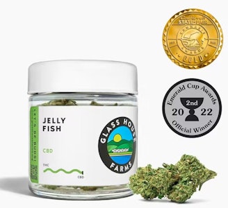 Glass House Farms - Jelly Fish [3.5g Jar]